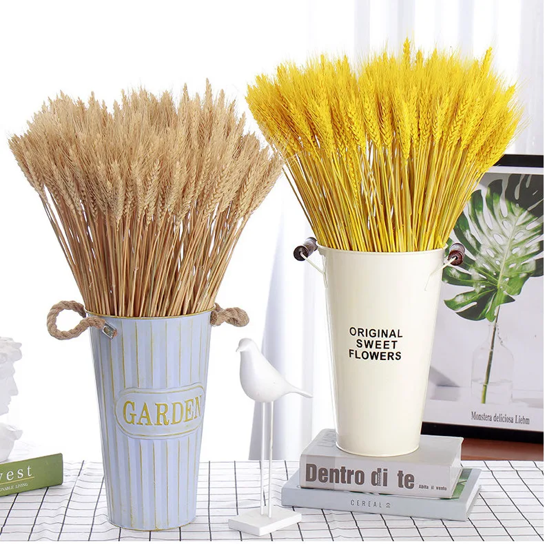 Natural Dried Ear Of Golden Wheat Preserved Milk White Wheat flowers