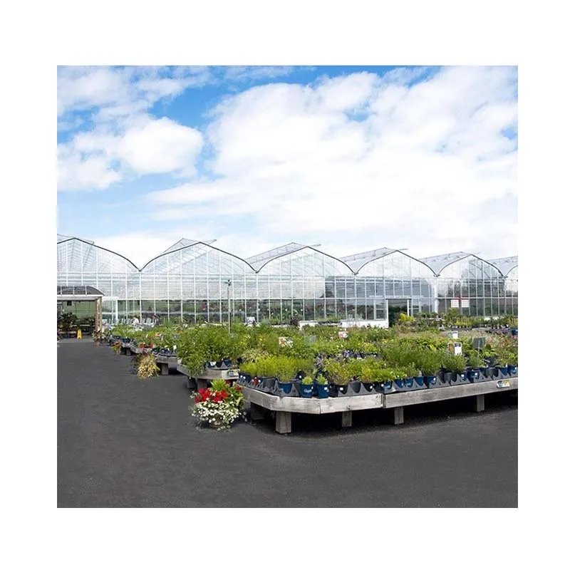 Прочная теплица для овощей, 6 мм, лист из поликарбоната, холодная рама, зеленый дом, 5000, сельскохозяйственная, маленькая, большая, другая теплица