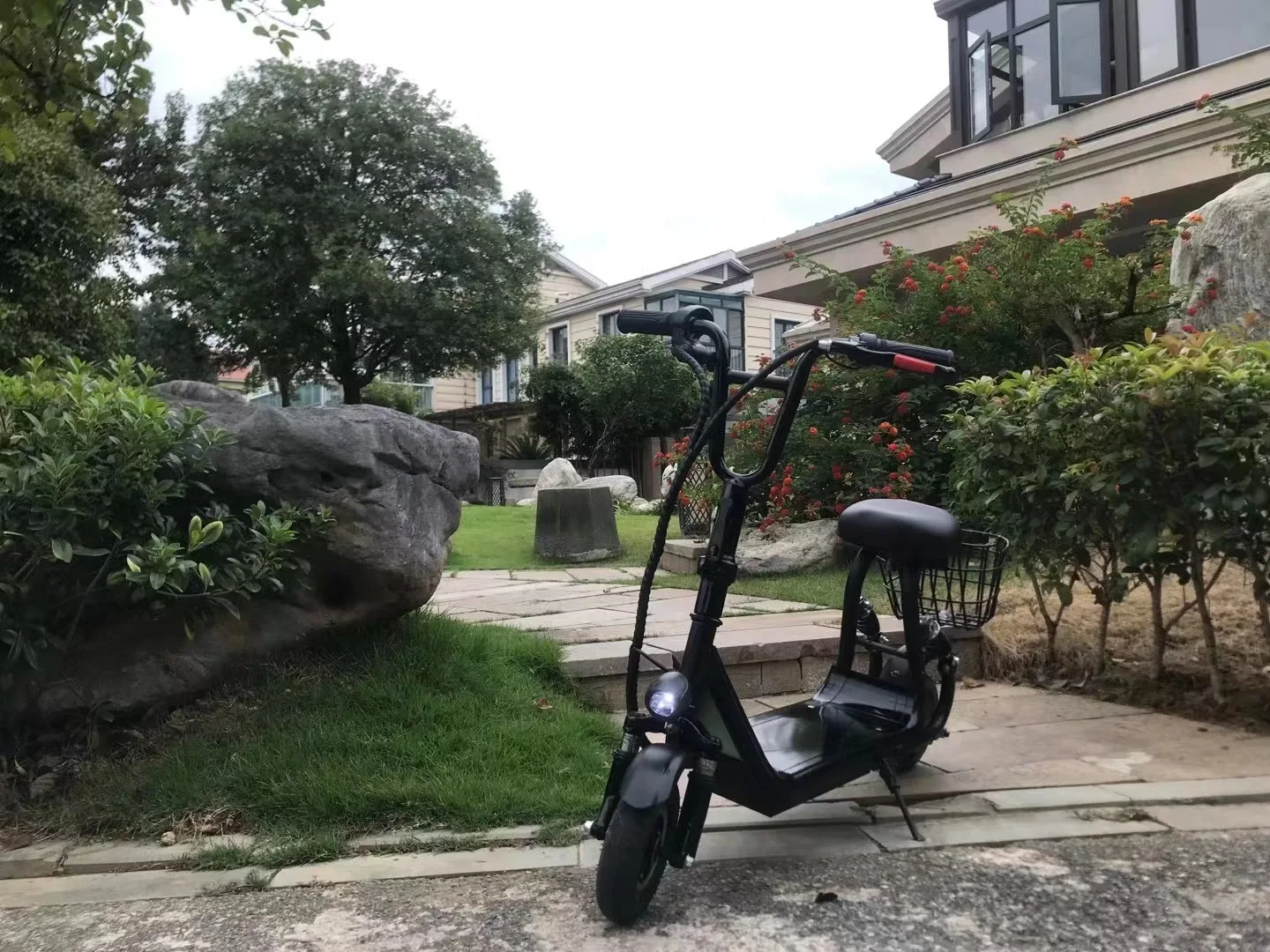 mini bike (46).jpg