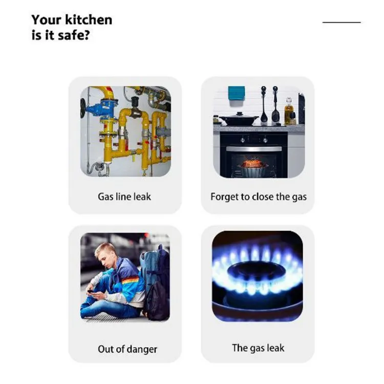 Tuya Wifi Natural Gas-Sensor Household Intelligent Combustible Gas-Alarm Detector Gas-Leakage Sensor Compatible with Alex