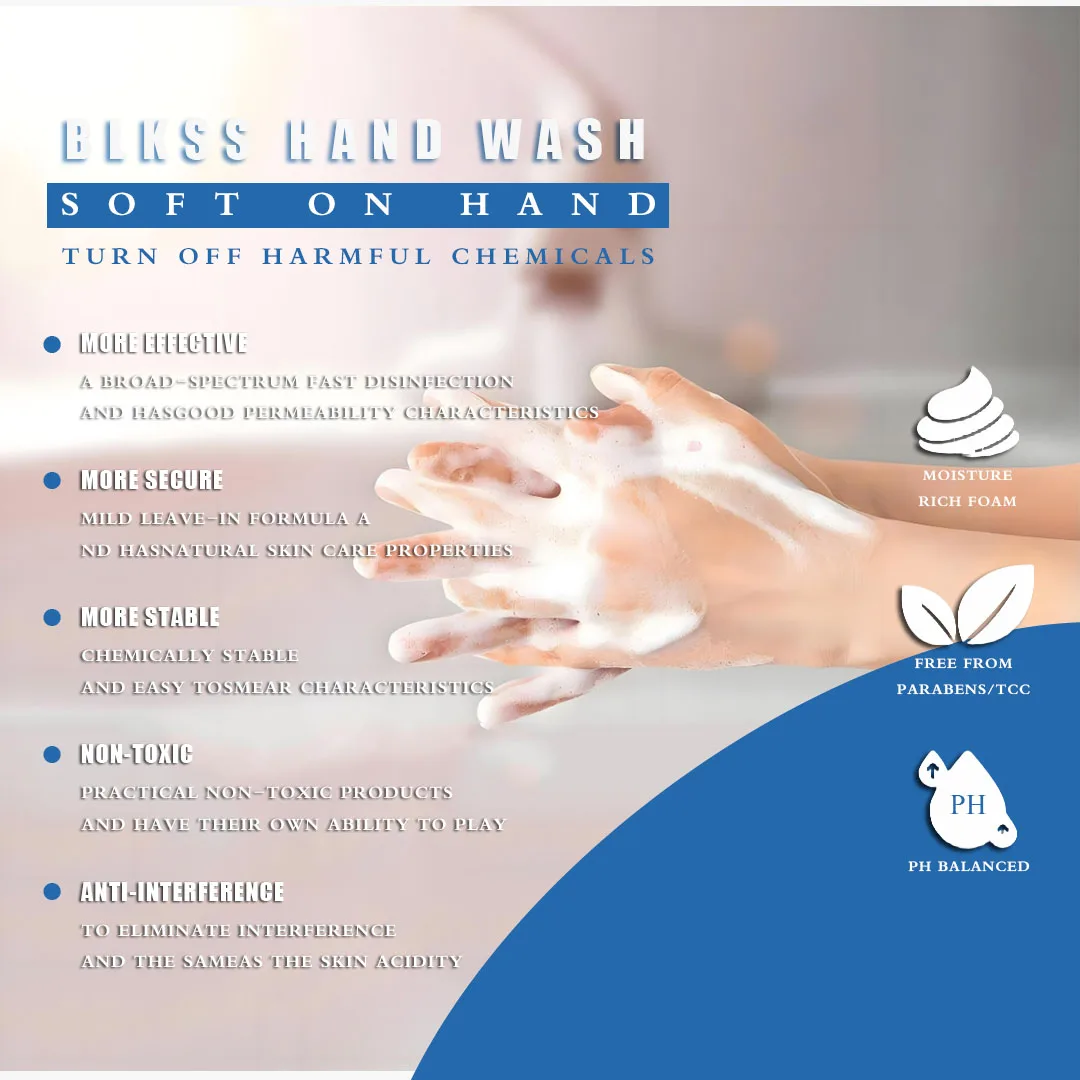 Wholesale Custom Organic Natural Liquid Hand Soap Manufacturer Home and Hotel Fruit Scent Antibacterial Hand Sanitizer