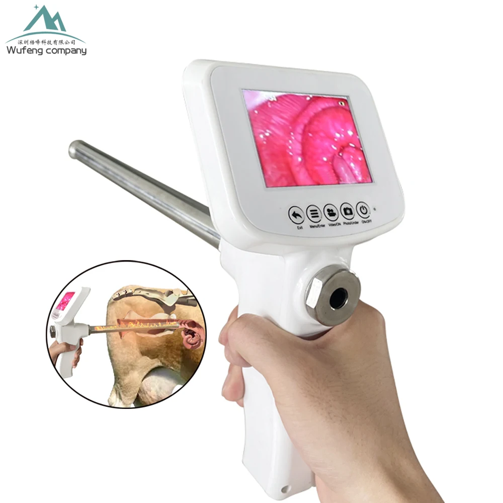 Digital Ai Gun Endoscope Artificial Insemination Gun For Cattle Dog Cow Horse Sheep With Camera
