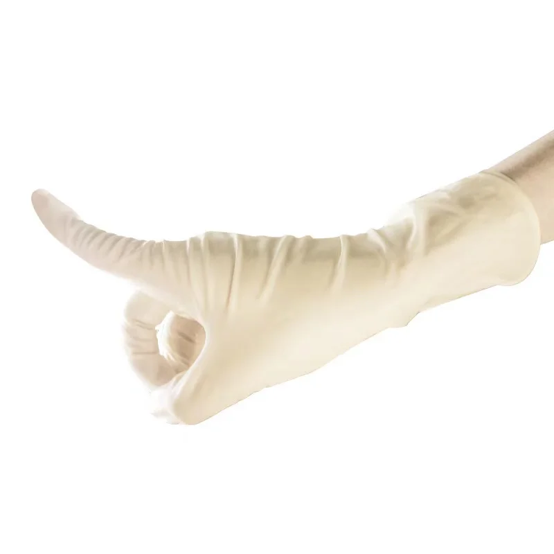 Powdered or Powder free Sterile 100%Thailand Natural Latex Surgical Gloves with CE Certification