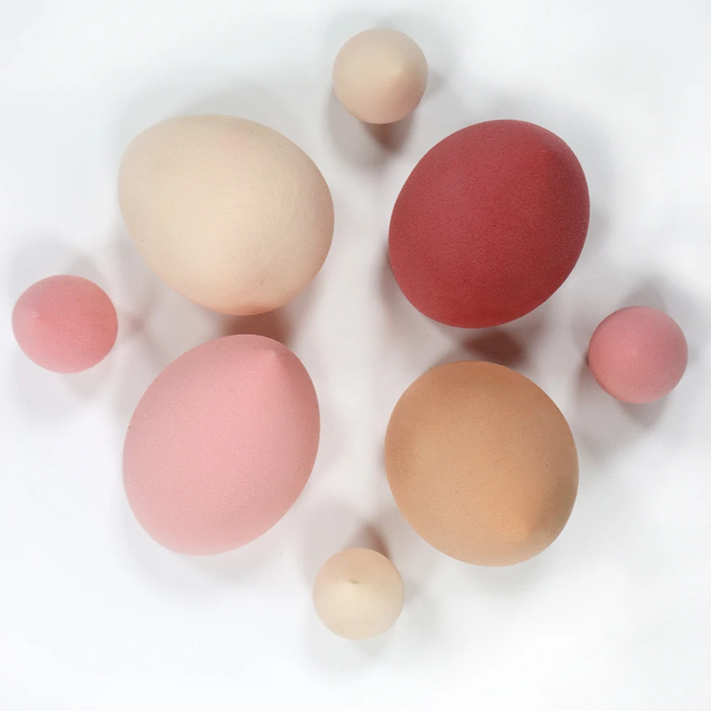 Cosmetic Sponge Puff Foundation Powder Cream Blending Face Beauty Tool Makeup Sponge with Bottle