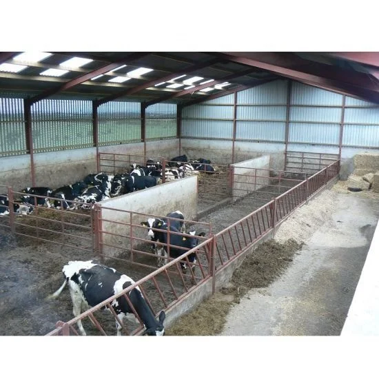 Prefab Metal construction Building  Steel Structures Hangar Structure Dairy Cow Shed Farm