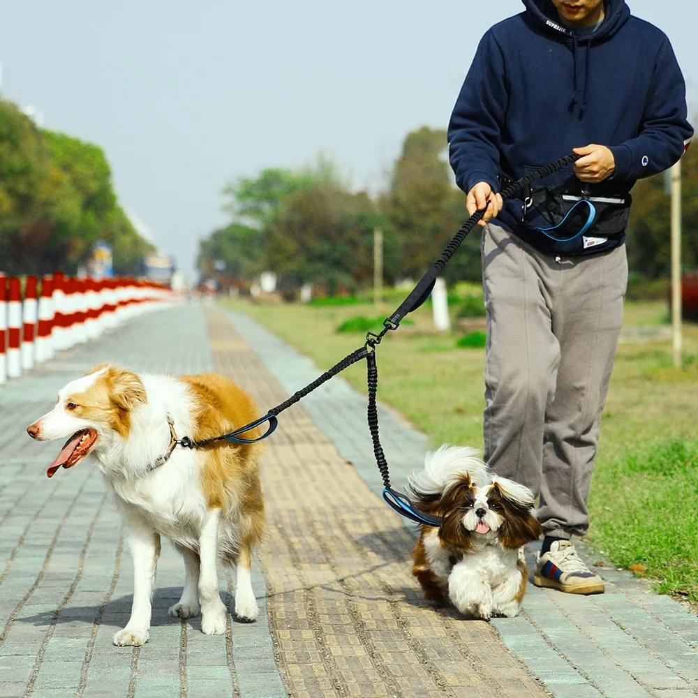 Dropshipping Hands Free Waist Bag Shock Absorption Reflective Retractable Double Pet Dog Leash