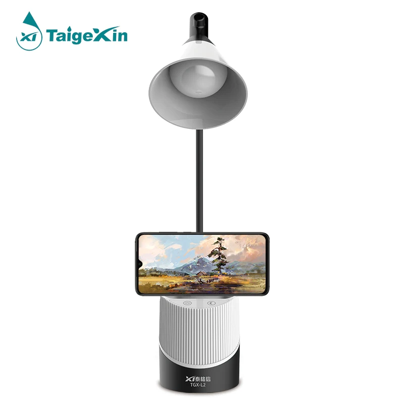 Luxury Decorative Adjustable Gooseneck Tube  Rechargeable LED Table Lamp Study Lamp Reading Desk Lamp With Pen Holder