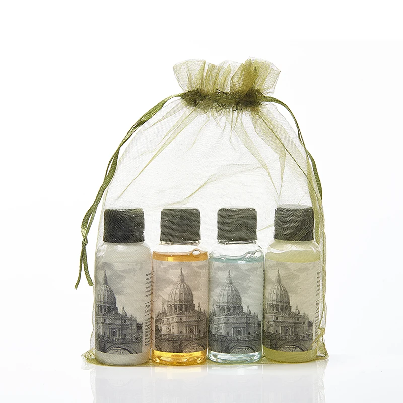 Supplier price 5 star luxury hotel amenities mini size body lotion conditioner soap shampoo bottle set