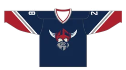 100% polyester high quality custom blank embroidery ice hockey jersey 1 moq