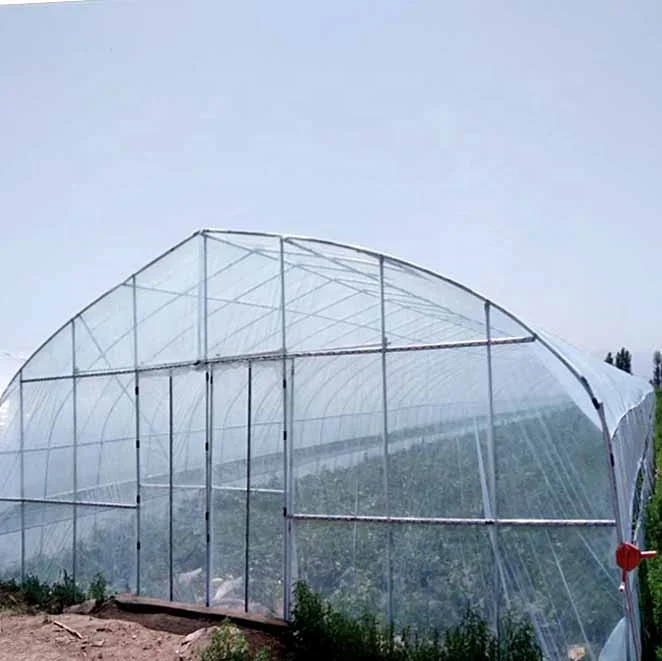 Easy Assemble Galvanized Steel Frame PE Film Single Span Greenhouse Hemp cultivation greenhouse