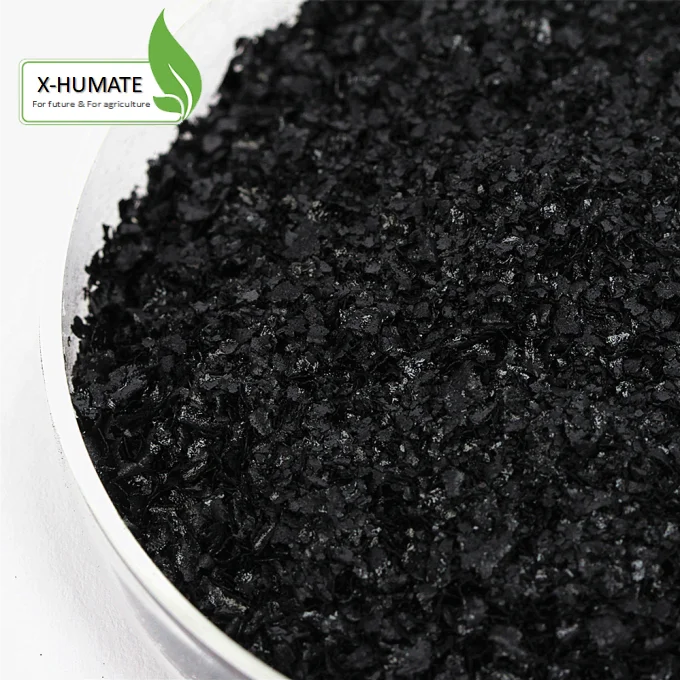 
X-humate Black granular/powder/flakes 90% feed fertilizers for banana fertilizer chicken manure 