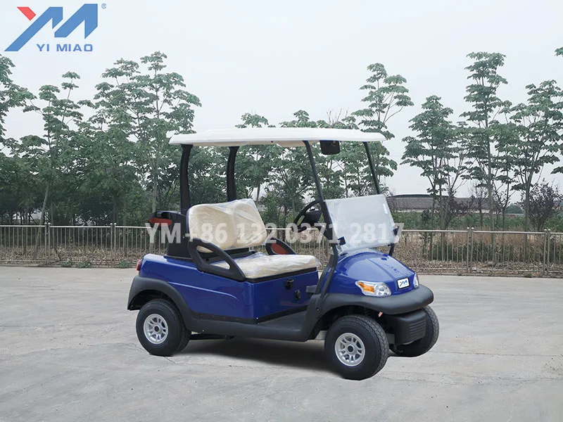 Factory prices   2 seater mini electric golf carts for sell