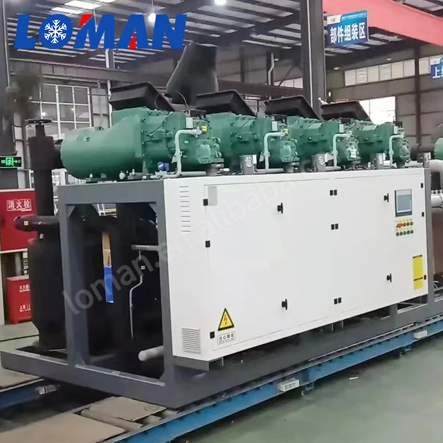 Loman Germany Original semi hermetic refrigeration compact Bit-zer screw compressor CSH8583-160-38D 160HP china price