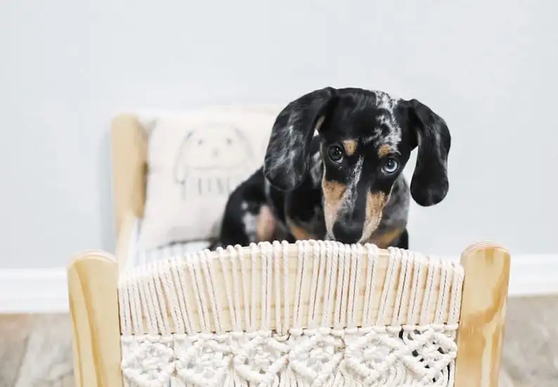 Stylish Simple Country Style Wooden Pet Hedgehog House Bed Accessories Removable Cover Floral Rubber Linen Cotton Pillow