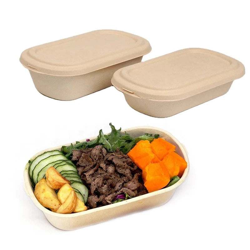 EcoNewLeaf Microwave Sugarcane Food Box Fast Disposable Bagasse Salad Container