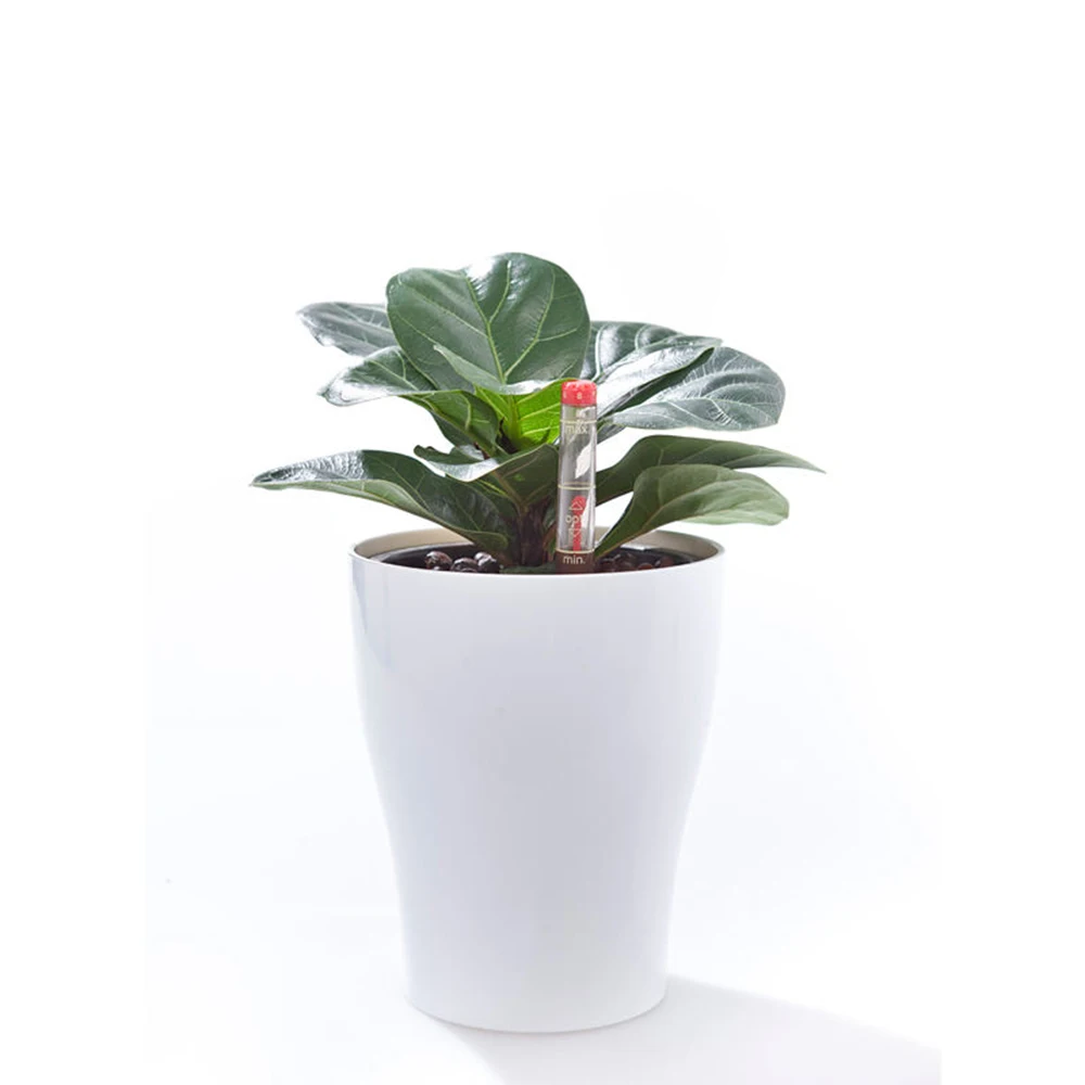 Self Watering Hanging Planters Lazy Flower Pots Water Hanging Plants Pot Wall Hanging Plastic Flower Pots