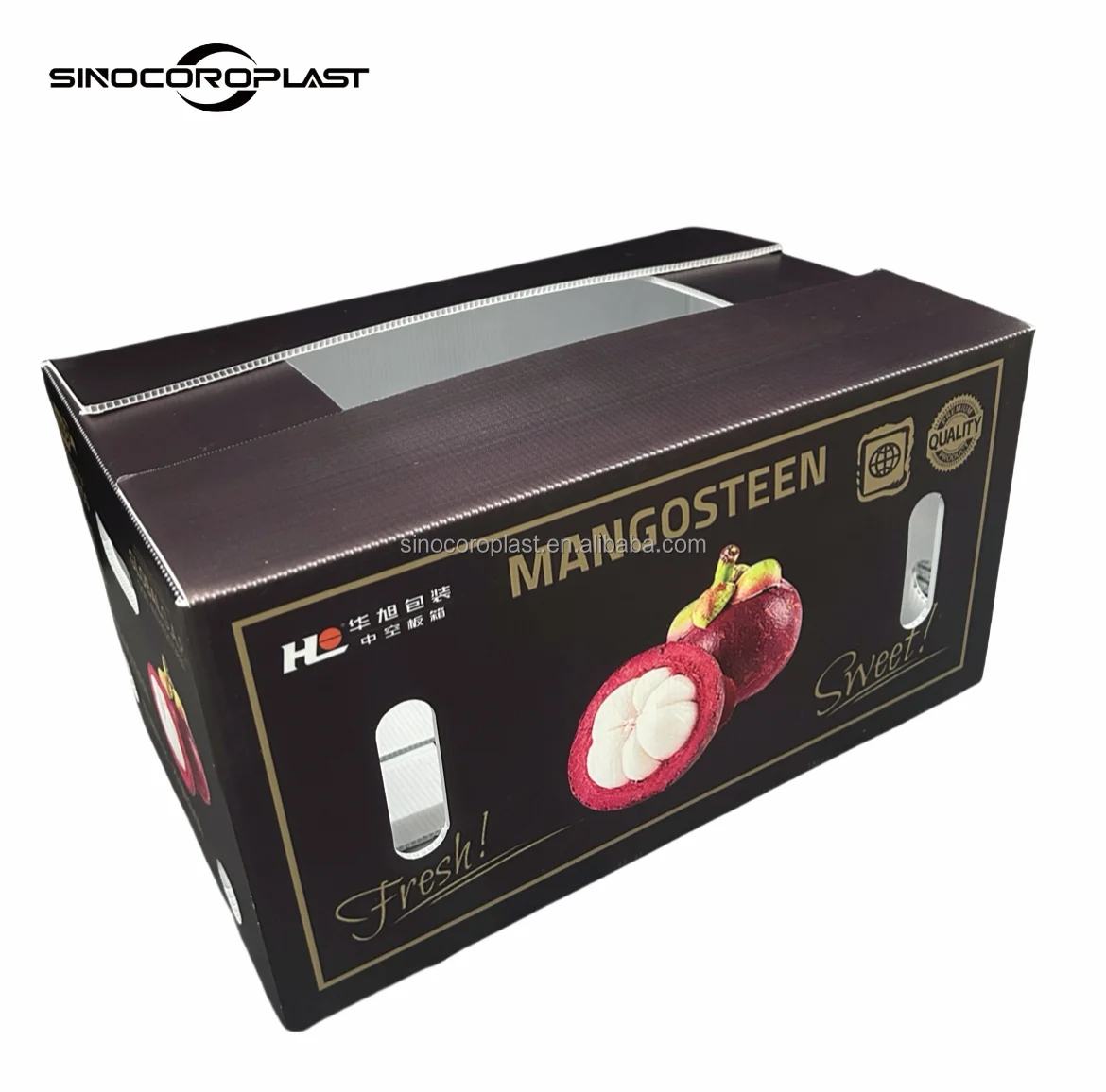 Wholesale Custom Foldable Plastic Corrugated Fresh Printed Folding Fruit Storage Packaging Packing PP Coroplast Box For Fruit