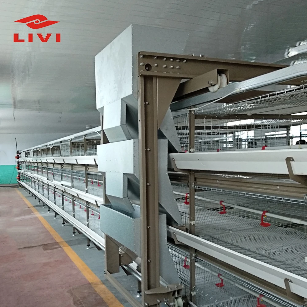 chicken equipment for sale in south Africa 30,000 layers project design layer chicken cage