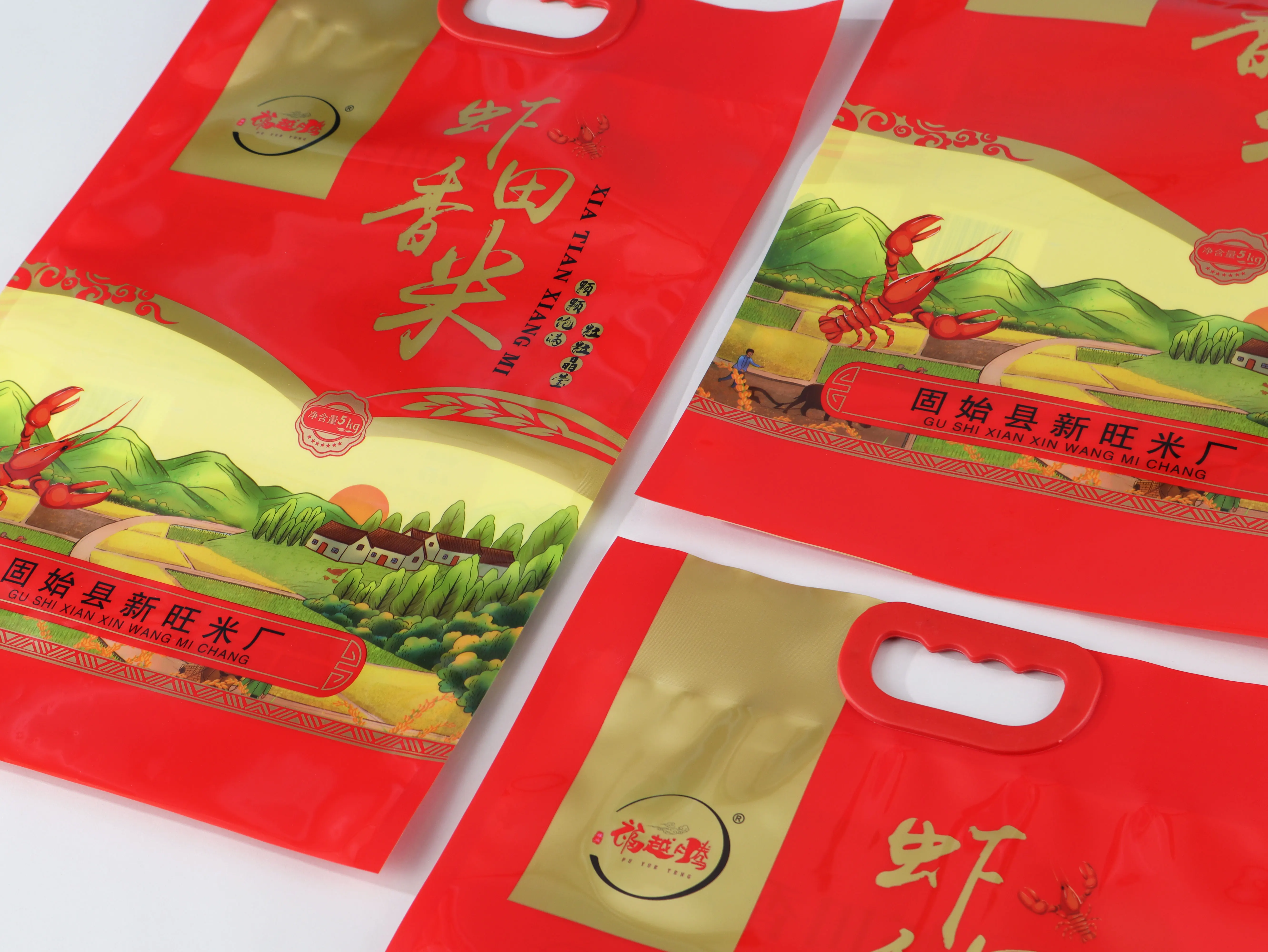 Flexible Rice Bags Nylon Food 5 KG Plastic Packaging Bags For Rice With Handle