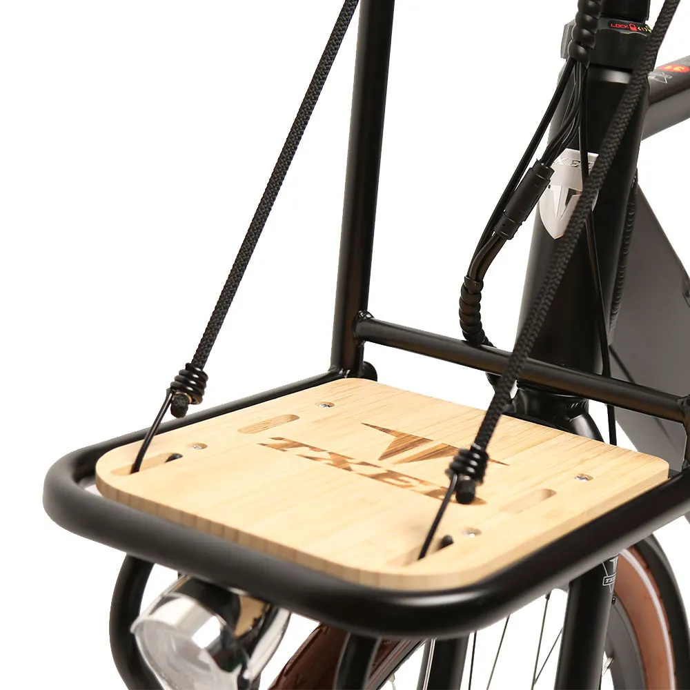 TXED 250W Rear Hub Motor inner 3-speed Electric Cargo Bike Matched With Belt Drive Electric City Bike