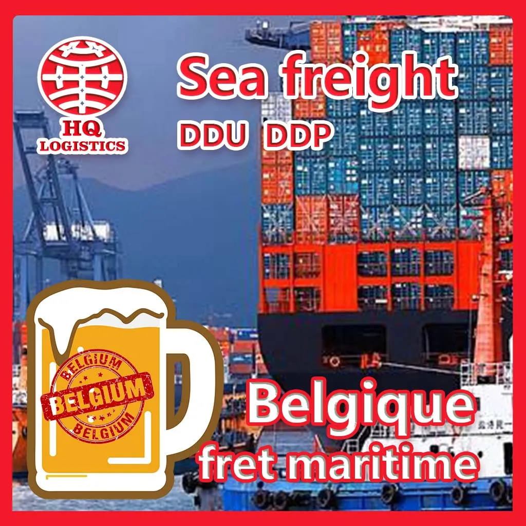 agent sea air transport chine belgium shipping agent to belgique Express Delivery Fedex freight forwarder china