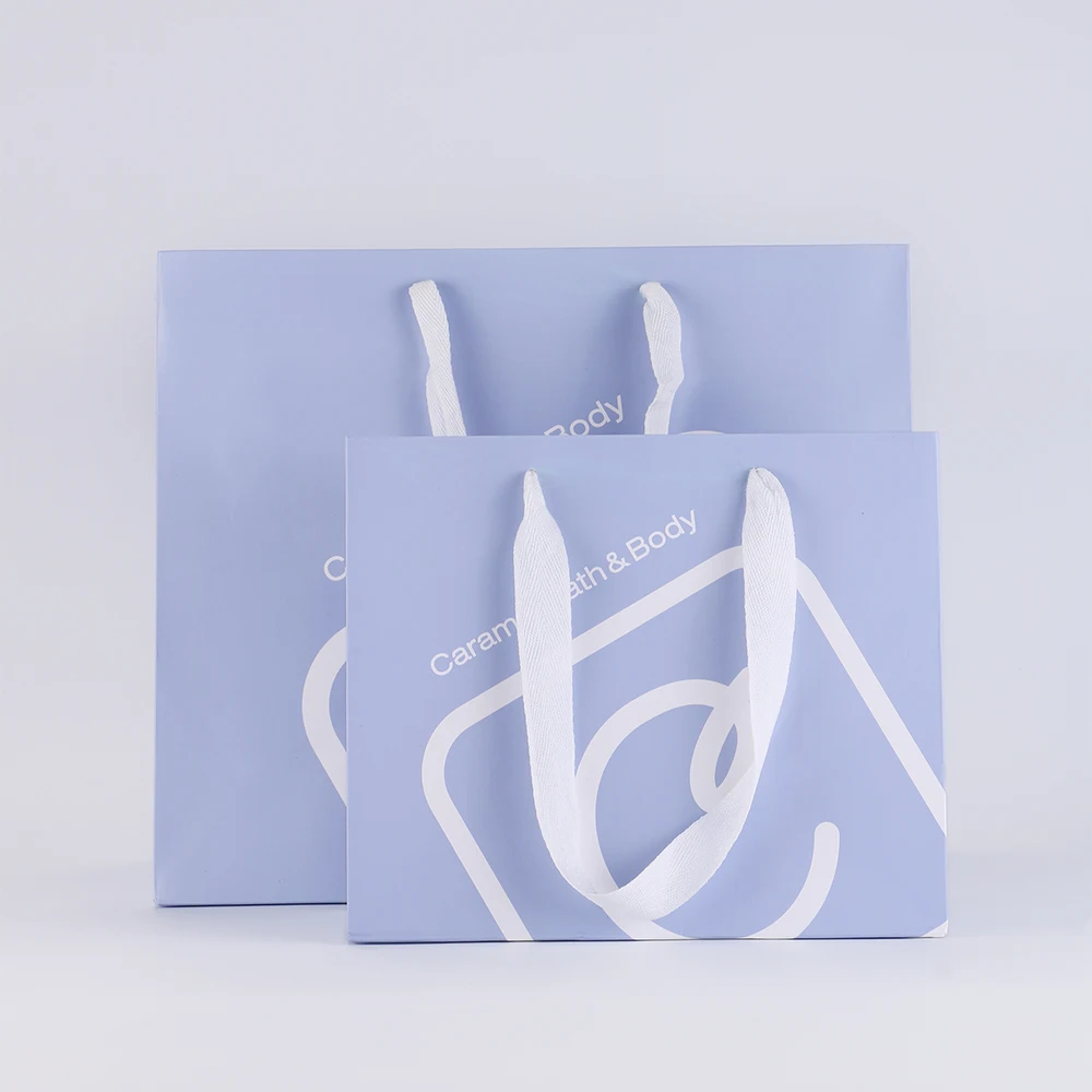 Wholesale Custom Logo Brand Merchandise Boutique Jewelry Gift Clothing Packaging Printed Paper Bag with Ribbon