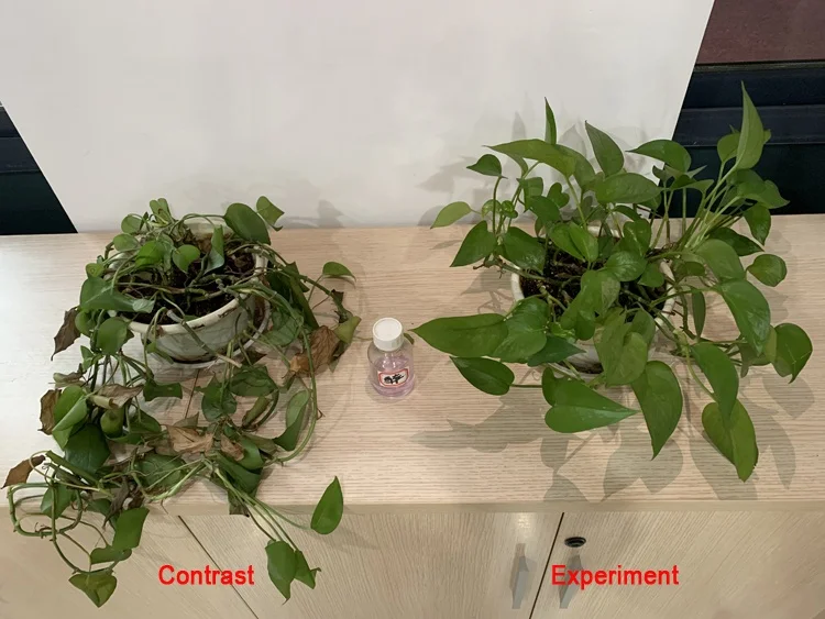 
Natural plant source amino acid organic fertilizer liquid of Amino Acid 