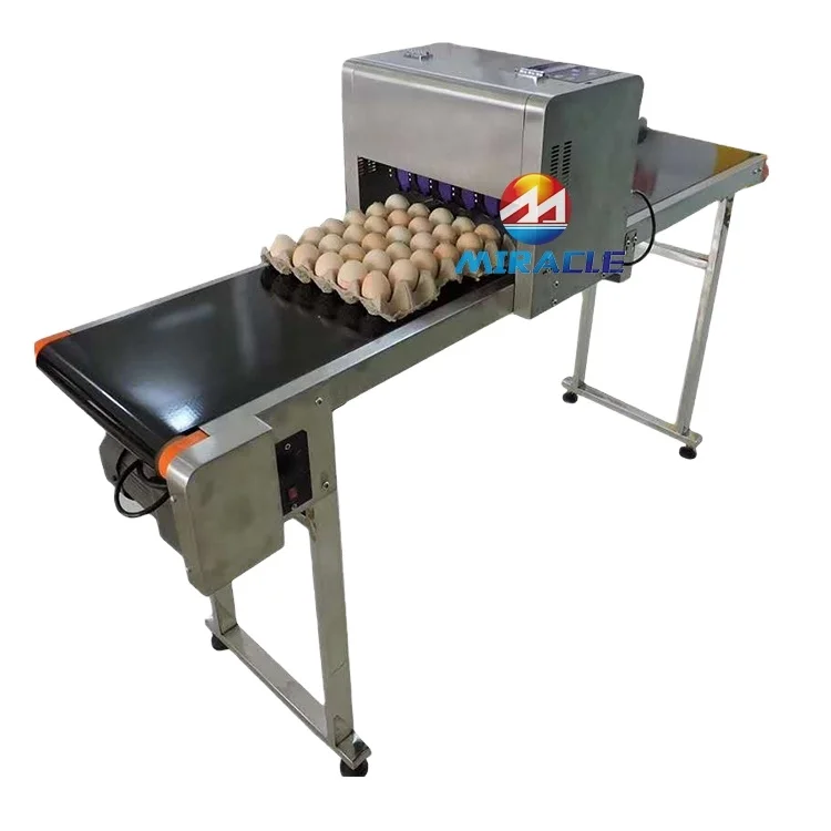 Edible Environmentally Friendly 6 head inkjet printer for egg