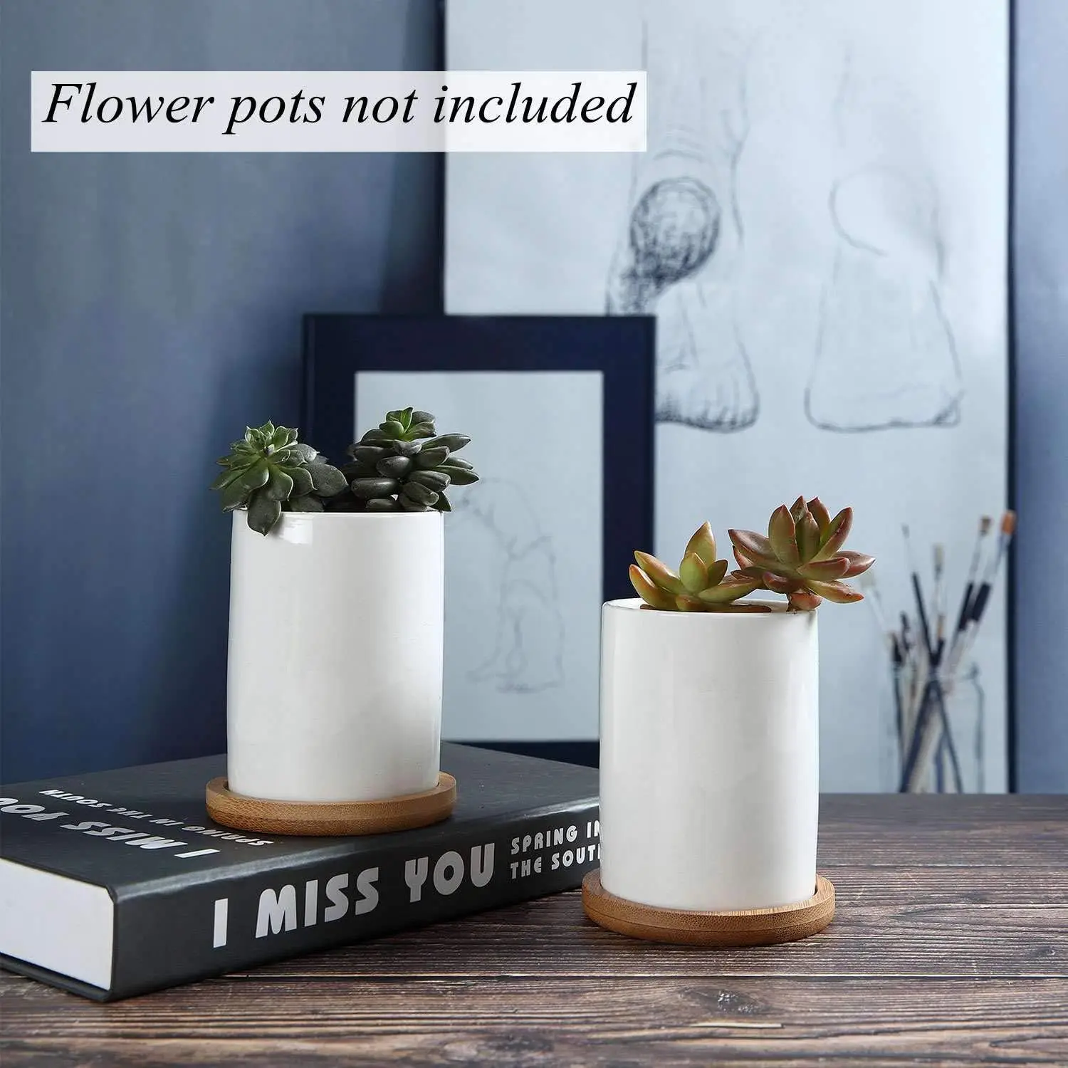 Bamboo Round Plant Saucer Edge Design Versatile Sustainable Material Sturdiness Durability Plant Tray for Indoor Outdoor Plants