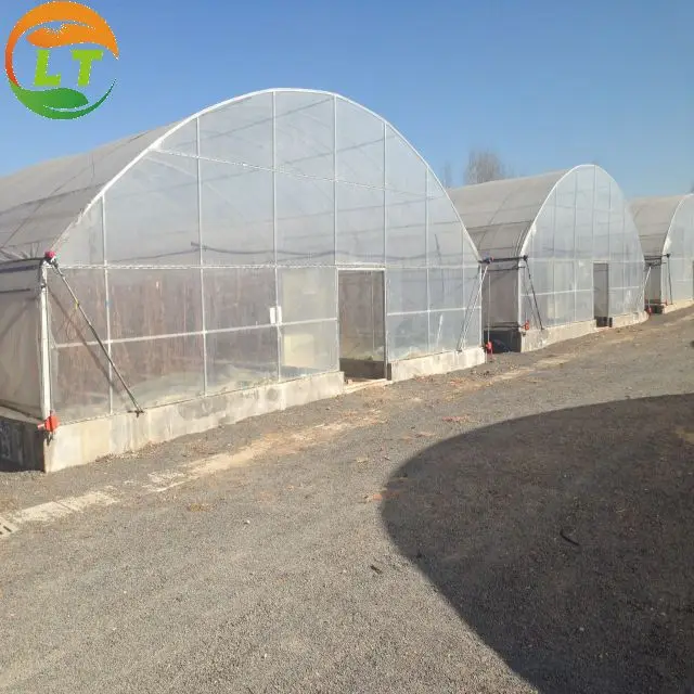 Single Span Plastic Film Agricultural Tunnel Greenhouse