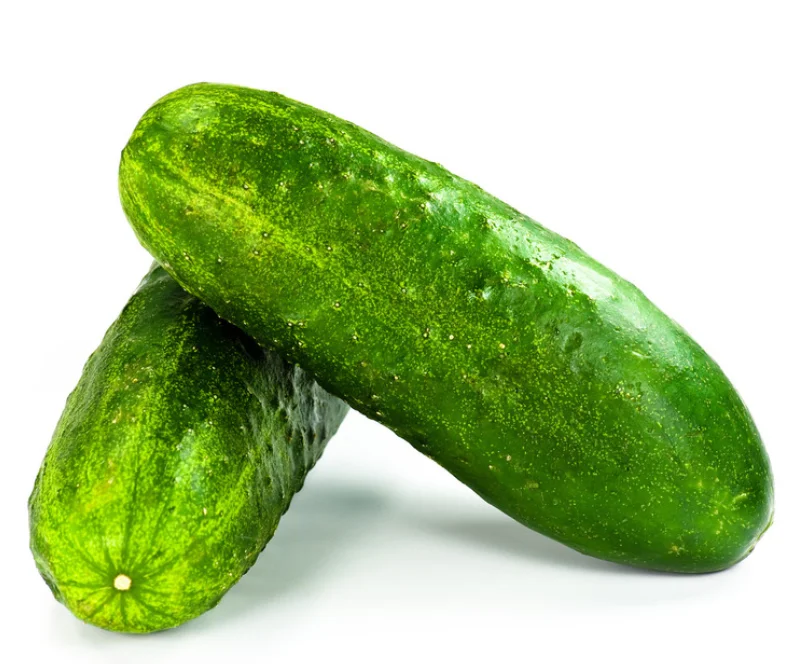 10 см партенокарпия Бет айфа Ближний Восток Огуречный теплица f1