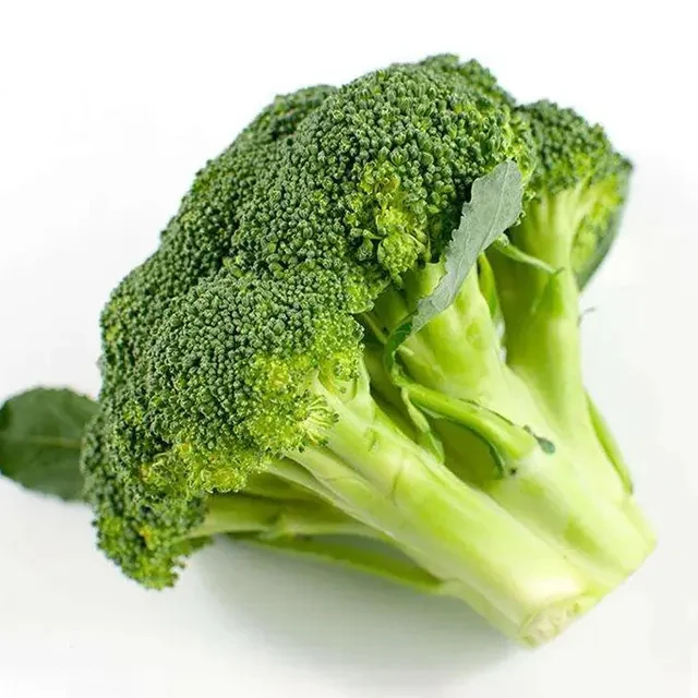 Горячая продажа Китай производство качество экспорта свежей