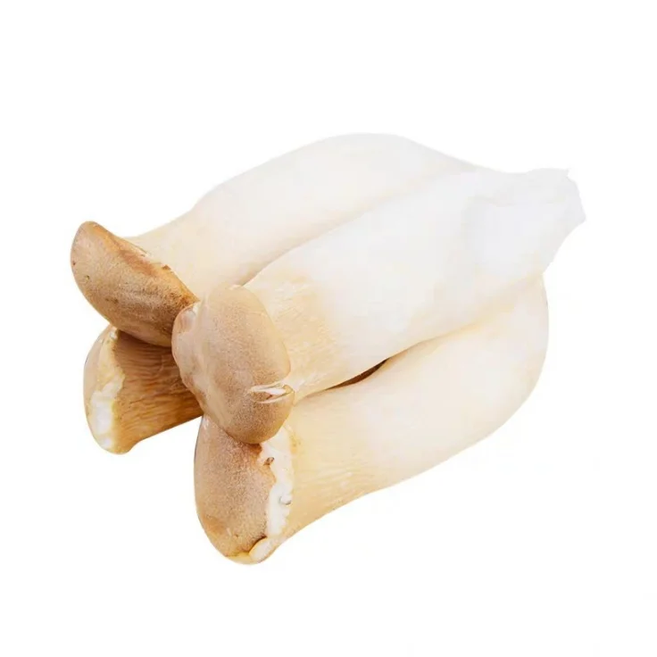 
China Hot Sale High Quality One Stop Purchase Pleurotus Eryngii Fresh eryngi mushroom 