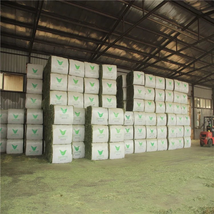 
American Good Quality Alfalfa Hay Timothy Hay Oaten Hay for Sale 