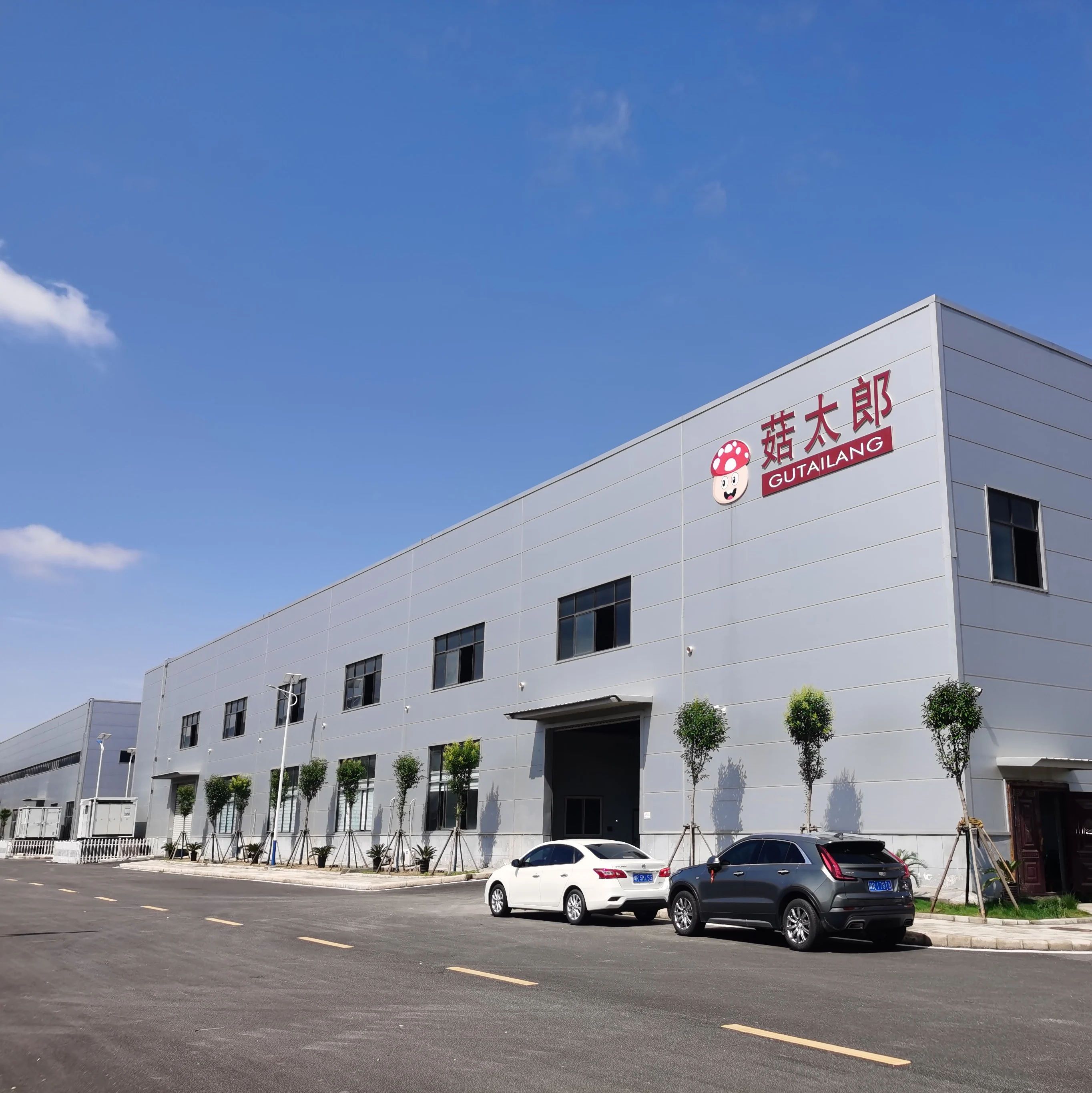 Gutailang Factory Directly Selling  Dried Mushroom Picecs Dried Champignon Slices Dried Champignon Mushroom Slices