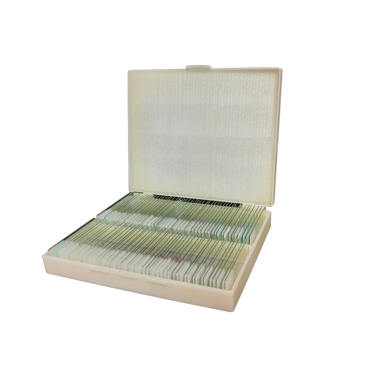 S100 biological microscope slides microscope slide section for lab