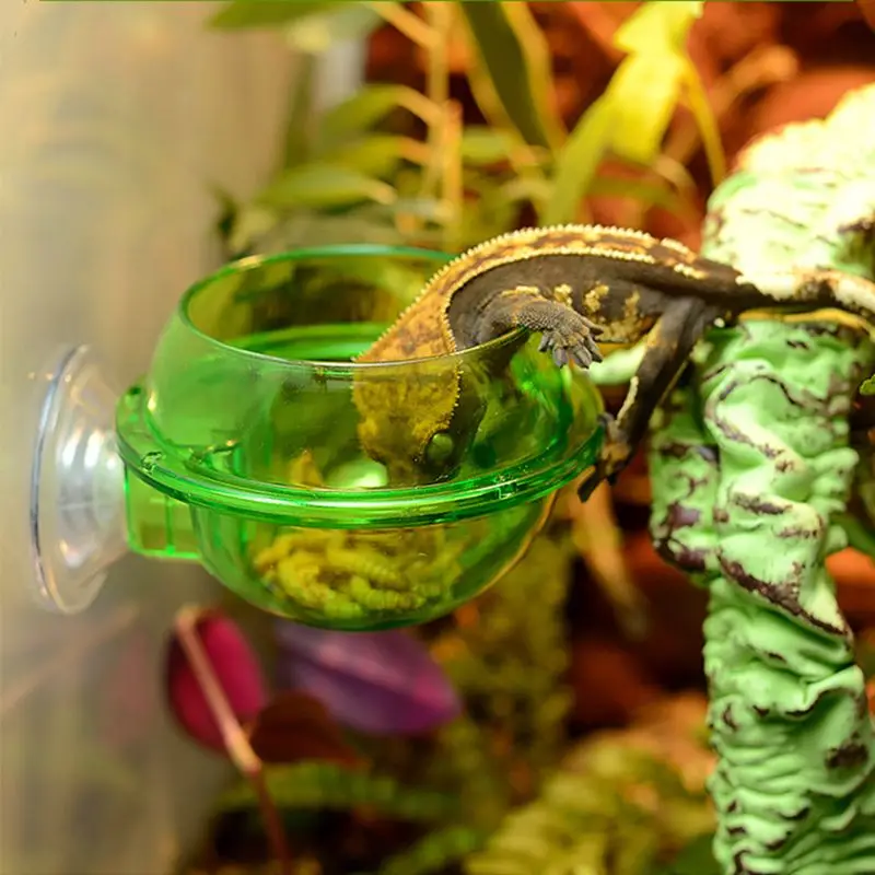 Manufacturer OEM custom logo Reptile Anti-escape Food Bowl Cup Turtle Lizard Worm Live Food Container