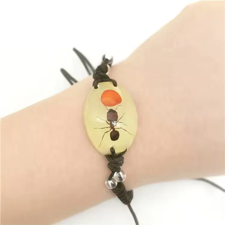 Luminous resin Insects amber fashion jewelry specimen bracelets