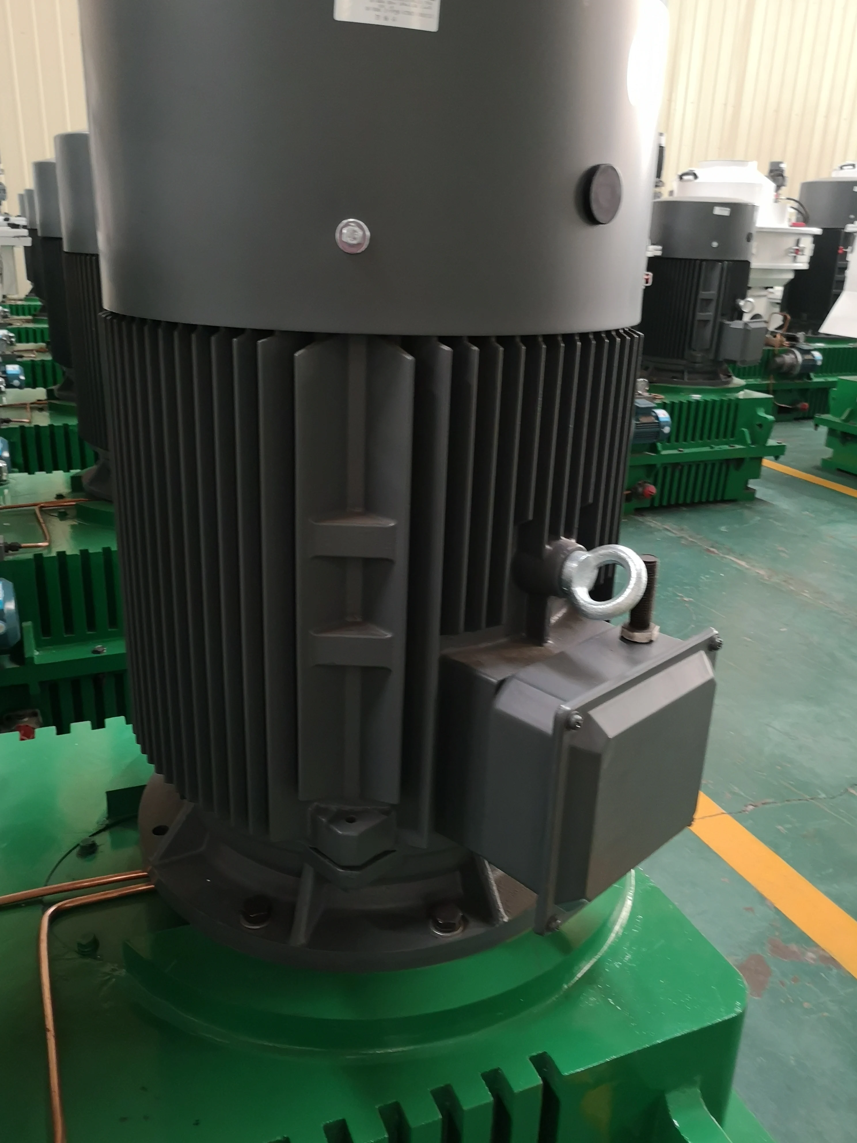 Wood Sawdust Granulator Machine 1 to 1.8 tph China Hot Sale Biomass Sawdust 110kw Pellet Mill Machine Granule Rice Husk Straw