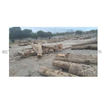 Wooden Log Material and Customizable Wood Log Slices Cabin Homes Prefab Log Quality Periodic Antenna