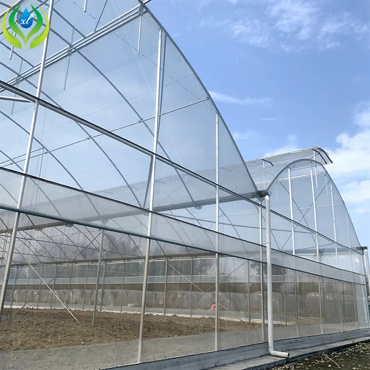 MYXL outdoor greenhouse farming vegetable metal frame green house plastic agriculture commercial