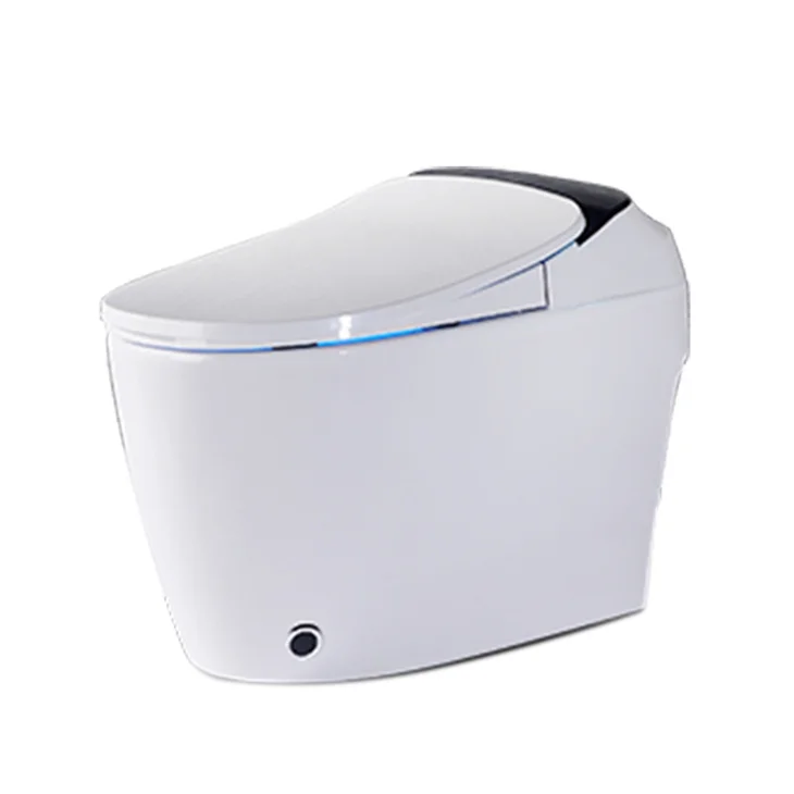 SALA Smart Bidet Toilet For Girl Australian Standard Tankless Wc With Washing System Smart Toilet Strap 110v