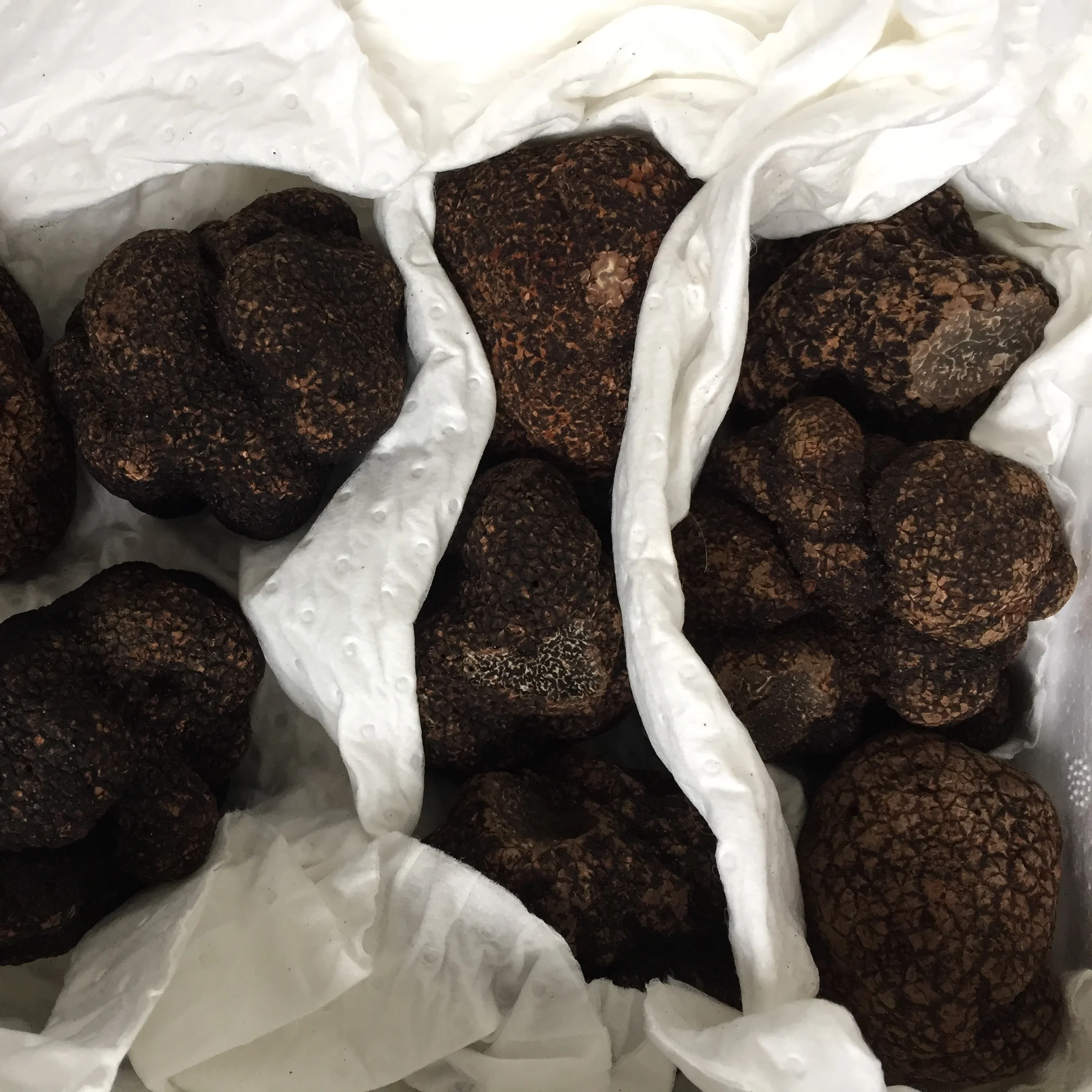 Консервированный черный трюфель/свежий трюфель для продажи