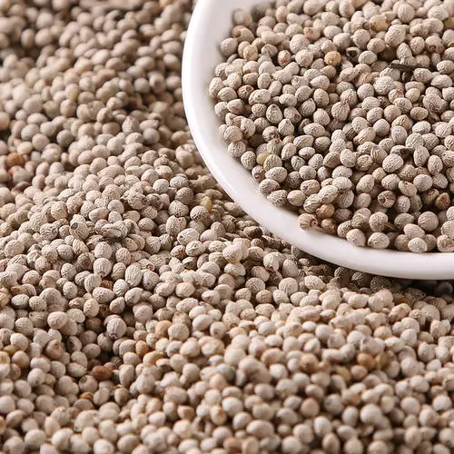 
High quality perilla seeds for oil seeds for bird 