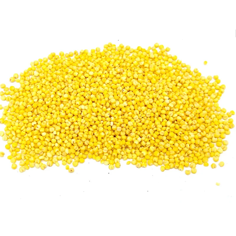 China Manufacturer New Product 500g Yellow Gluten-Free Grain Millet