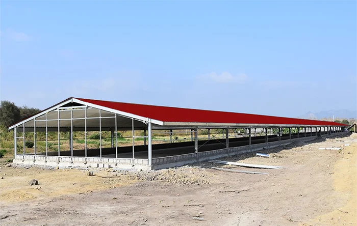 Commercial Fabrication Chicken House Design Poultry Farm Shed for