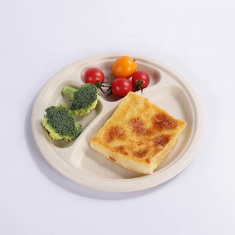 Eco-Friendly Dinning Dishes  Custom Divided Food 3 Compartment paper Divided Plates