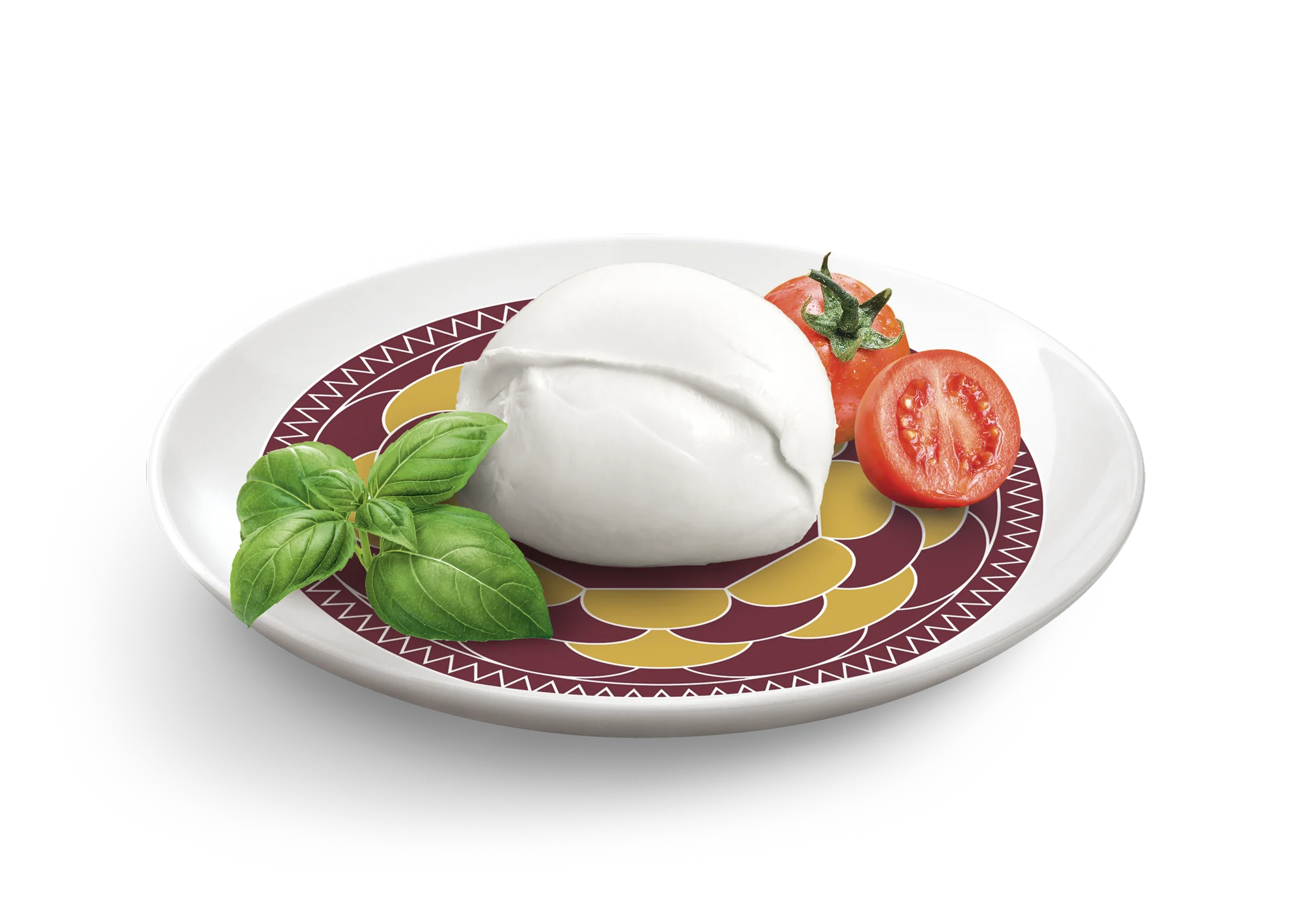 Excellent Quality Healthy Ingredients Dairy Products 100% Italian Milk Genuine Cheese Mozzarella Cheese