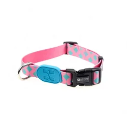 Multifunctional pet training collar with great price