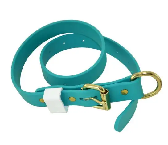Luxury Single Layer Waterproof Nylon coated with PVC Pet Dog Collar with Gold Hardware for Dogs Cats Training Application